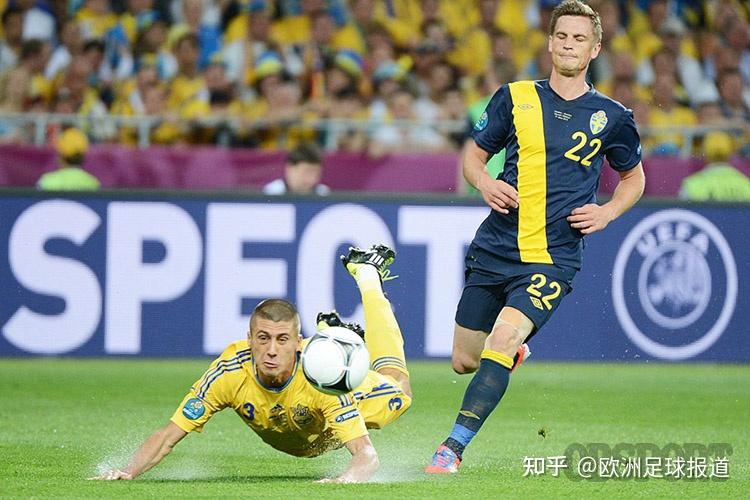 瑞典队在一个距离球门比较远的位置上获得了任意球