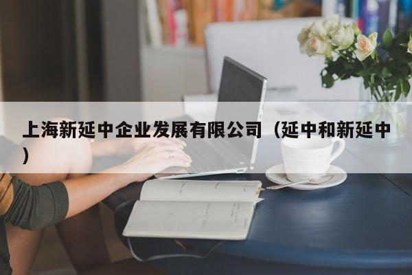 上海新延中企业发展有限公司（延中和新延中）